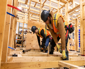 Building Maintenance In Auckland